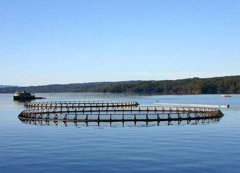 淡水水產養殖少不了水質分析